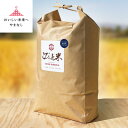 【ふるさと納税】冷めても美味しい!【令和7年産】こぴっと米【五百川】白米・10kg 特別栽培米【配送不可地域:離島】【1652044】