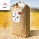 【ふるさと納税】きわだつ大粒!【令和7年産】こぴっと米【極】白米・10kg 特別栽培米【配送不可地域:離島】【1652053】