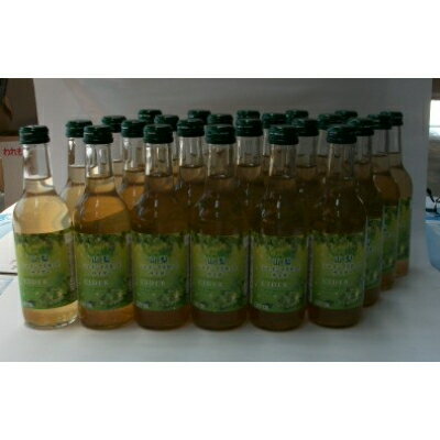 【ふるさと納税】山梨シャインマスカットサイダー 245ml瓶 24本箱【配送不可地域：離島】【1183941】