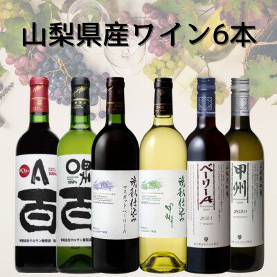 【ふるさと納税】山梨県産ワイン6本セット　041【配送不可地域：離島】【1682272】