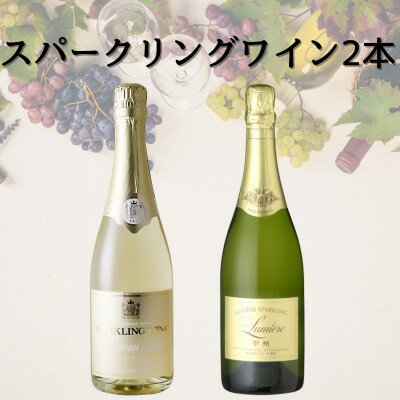 【ふるさと納税】スパークリングワイン2本セット(5)　049【1684419】
