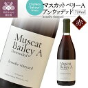 13位! 口コミ数「1件」評価「5」 ワイン 赤 国産 シャトー酒折ワイナリー マスカットベリーA アンウッデッド 記念日 誕生日 ギフト プレゼント お酒 アルコール 母の日･･･ 