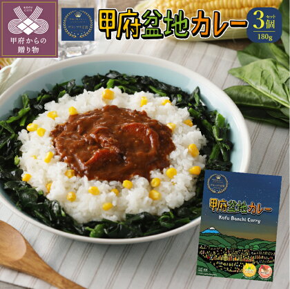 カレー レトルト ご当地 甲府 盆地 特産品 きみひめ 新 メニュー コンテスト グランプリ 受賞 180g×3個 k021-199