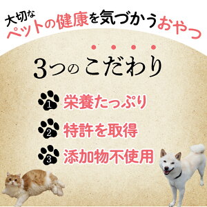 【ふるさと納税】 犬 おやつ 無添加 国産 ペット 猫 ペットフード ドッグフード キャットフード 100g×3パック 特許取得 k019-001