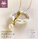 【ふるさと納税】< 甲府ジュエリー > ペンダント ネックレス レディース ジュエリー アクセサリー ダイヤモンド 計0.02ct 真珠 アコヤパール K18 イエローゴールド 上品 ギフト プレゼント 誕生日 贈り物 ラッピング ジュエリーケース付 鑑別書付 保証書付 k001-789