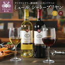 【ふるさと納税】 ワイン 飲み比べ 山梨 赤 白 シャトーブリヤン ミュール 2本 セット 750ml 記念日 ギフト プレゼント k001-008