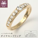 【ふるさと納税】 リング ダイヤモンド 指輪 レディース 0
