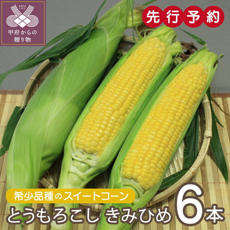 【ふるさと納税】先行予約 2024年 きみひめ とうもろこし スイートコーン 山梨県産 甲府市産 数量限定 産地直送 ジューシー 甘い 2024年6月上旬～6月下旬にかけて順次発送 k003-014