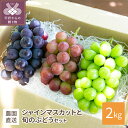 【ふるさと納税】 シャインマスカット ぶどう 詰め合わせ 計3種 セット 山梨県産 期間限定 数量限定 2025年配送分 2kg 旬 フルーツ 草生栽培 有機肥料 k041-017