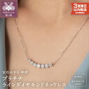 【ふるさと納税】 ネックレス ダイヤモンド プラチナ ペンダント 即納 1カラッ