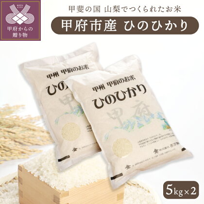 米 白米 ご飯 山梨県甲府市産 「ひのひかり」 5kg ×2 ギフトボックス入り k048-002