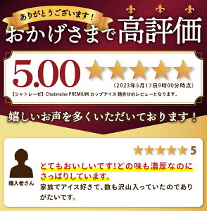 【ふるさと納税】 アイス 【発送月が選べる】 バニラ 無添加 人気急上昇 ランキング上位 大人気 高評価 レビューデザート シャトレーゼ プレミアム カップ 詰め合わせ 24個入り 抹茶 ストロベリー ラムレーズン 北海道 バター 食べ比べ 贈り物 ギフト k066-004