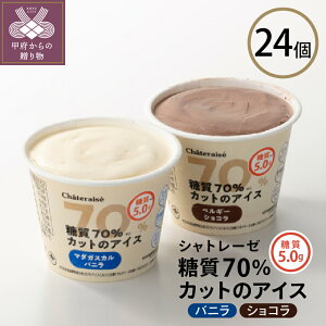 【ふるさと納税】アイス シャトレーゼ 糖質カット 洋菓子 カップ 詰合せ 24個入 バニラ ショコラ k066-005