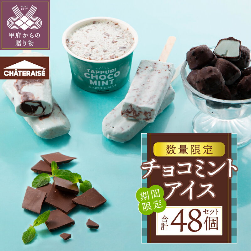アイス アイスクリーム シャトレーゼ チョコミント 4種 食べ比べ 48個 セット チョコバッキー ドライミント チョコミントバー たっぷりチョコミント デザートショコラボール 詰合せ デザート スイーツ おやつ ギフト 贈答