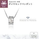 【ふるさと納税】ネックレス ペンダント レディース ジュエリー アクセサリー プラチナ リング状 ダイヤモンド 0.28ct スライド式 アジャスター付き 45cm ジュエリーケース付 ギフト プレゼント 鑑別書付 保証書付 k122-047･･･