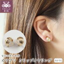 【ふるさと納税】< 甲府ジュエリー > イヤリング ジュエリー アクセサリー レディース K10 イエローゴールド カリプソ クリップイヤリング カーブデザイン フィット ギフト プレゼント ジュエリーケース付 保証書付 k107-184