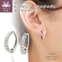 【ふるさと納税】< 甲府ジュエリー > イヤリング ジュエリー アクセサリー レディース ダイヤモンド K18 ホワイトゴールド ハーフエタニティ おしゃれ 両...