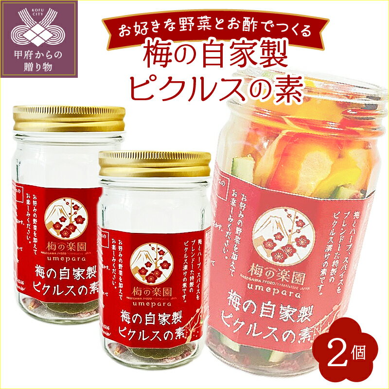ピクルス 梅 ピクルスの素 2個セット 本格的 自家製 スパイス ハーブ
