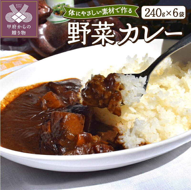 4位! 口コミ数「0件」評価「0」 カレー 無添加 レトルト 240g×6袋 セット 野菜カレー 簡単調理 冷凍 健康 ヴィ―ガン ヘルシー k139-041