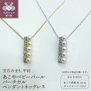 【ふるさと納税】 ペンダント ネックレス ジュエリー アクセサリ— レディース ダイヤモンド 0.15ct あこや真珠 ベビーパール 選べる地金 K18 イエローゴールド ホワイトゴールド シンプル ジュエリーケース ペーパーバッグ付 保証書付 k152-013