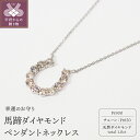 12位! 口コミ数「0件」評価「0」 ネックレス ペンダント ジュエリー レディース アクセサリー プラチナ ダイヤモンド 1.00ct 馬蹄 ケース付 鑑別書付 保証書付 k･･･ 