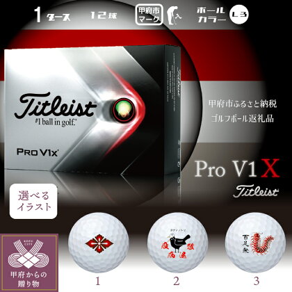ゴルフ ボール 1ダース タイトリスト Pro V1X 2021年モデル 12球 甲府市 ご当地 デザイン イラスト入り k170-016