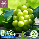 【ふるさと納税】シャインマスカット 【高評価★4.9】 先行予約 2025年 山梨県 ブドウ 種なし リピーター多数 数量限定 草生栽培 2房 約1.1kg 糖度測定 2025年8月上旬より順次配送予定 k150-010