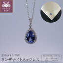 【ふるさと納税】 < 甲府ジュエリー > ネックレス ペンダント ジュエリー レディース アクセサリー プラチナ ダイヤモンド 0.2ct タンザナイト 贈り物 ギフト プレゼント ジュエリーケース付 保証書付 k176-003(4)