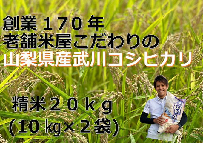 【ふるさと納税】米 令和3年 精米 武川 コシヒカリ 山梨県産 20kg 10kg×...