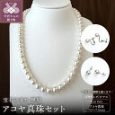 【ふるさと納税】< 甲府ジュエリー > ネックレス ペンダント イヤリング ピアス ジュエリー レディース アクセサリー 選べる種類 セット アコヤ真珠 7.5...