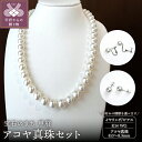 【ふるさと納税】< 甲府ジュエリー > ネックレス ペンダント イヤリング ピアス ジュエリー レディース アクセサリー 選べる種類 セット アコヤ真珠 8.5...