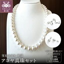 【ふるさと納税】< 甲府ジュエリー > ネックレス ペンダント イヤリング ピアス ジュエリー レディース アクセサリー 選べる種類 セット アコヤ真珠 大珠 ...