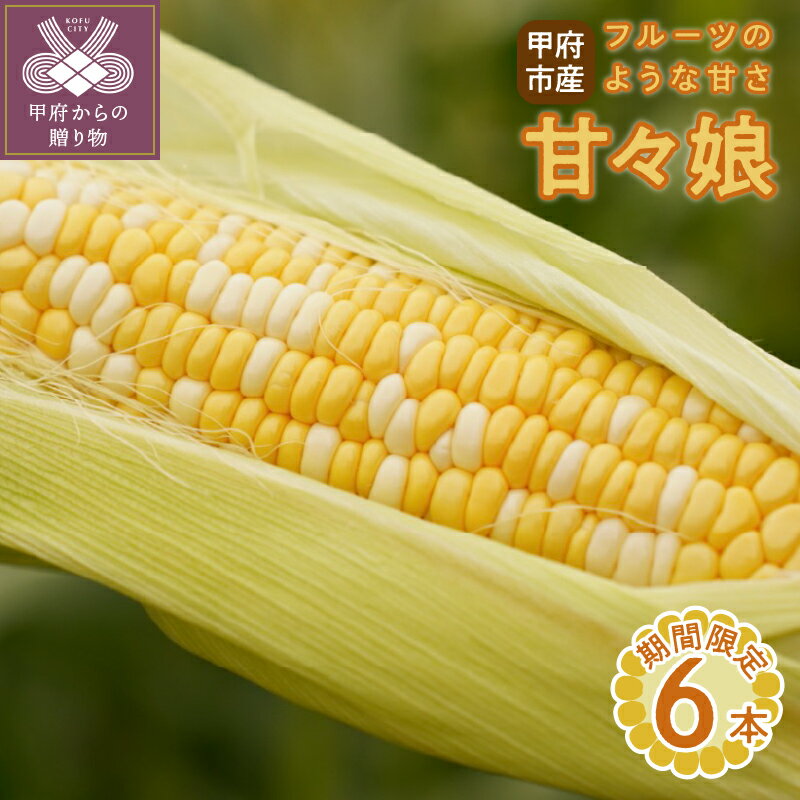 とうもろこし 甘々娘 期間限定 6本 糖度 甘い 新鮮 野菜 お取り寄せ 山梨県産 k219-015