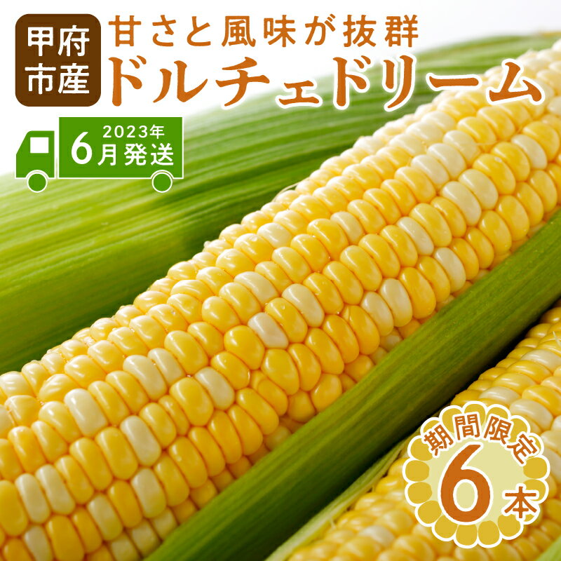 【ふるさと納税】 とうもろこし ドルチェドリーム 野菜 完熟 新鮮 6本 k219-018