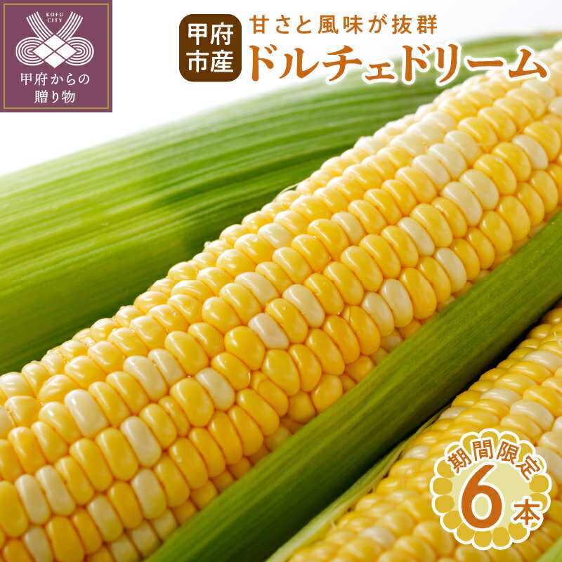 とうもろこし ドルチェドリーム 野菜 完熟 新鮮 6本 k219-018