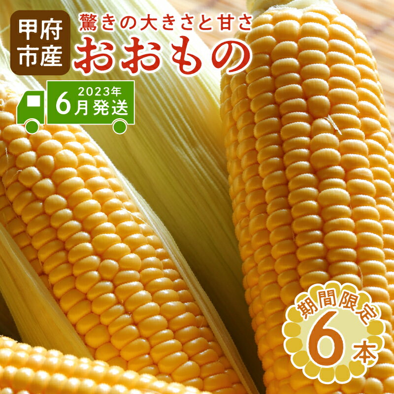 【ふるさと納税】 とうもろこし おおもの 野菜 完熟 新鮮 6本 k219-020