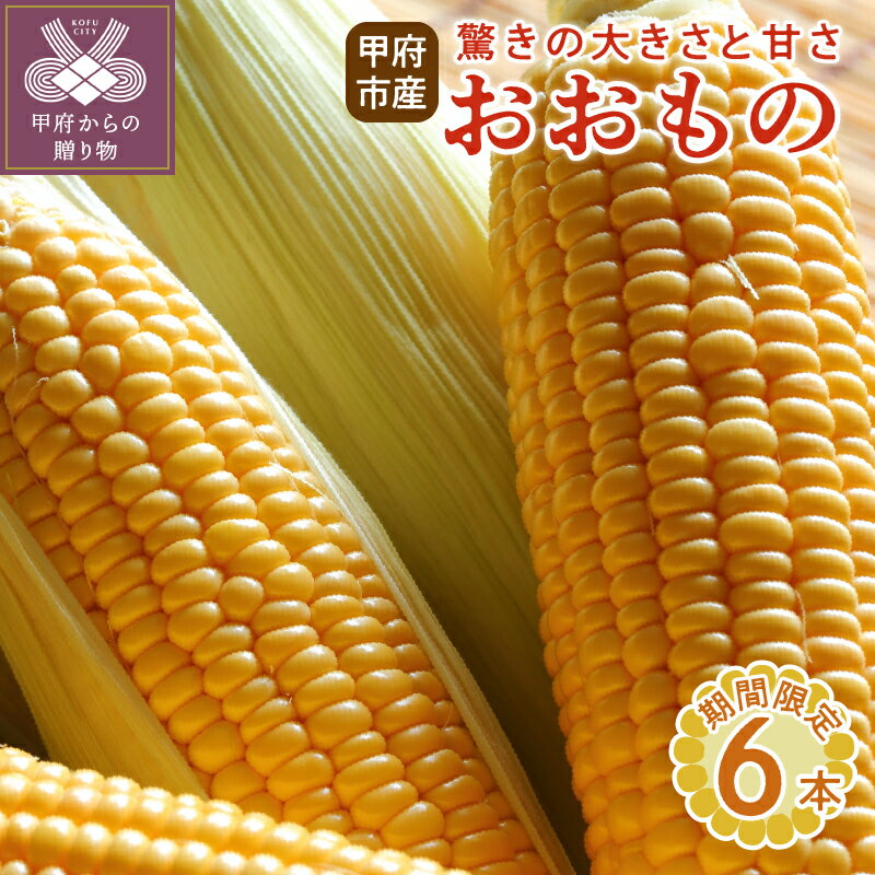 とうもろこし おおもの 野菜 完熟 新鮮 6本 k219-020