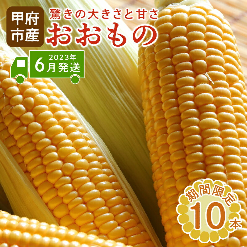 【ふるさと納税】 とうもろこし おおもの 野菜 完熟 新鮮 10本 k219-021