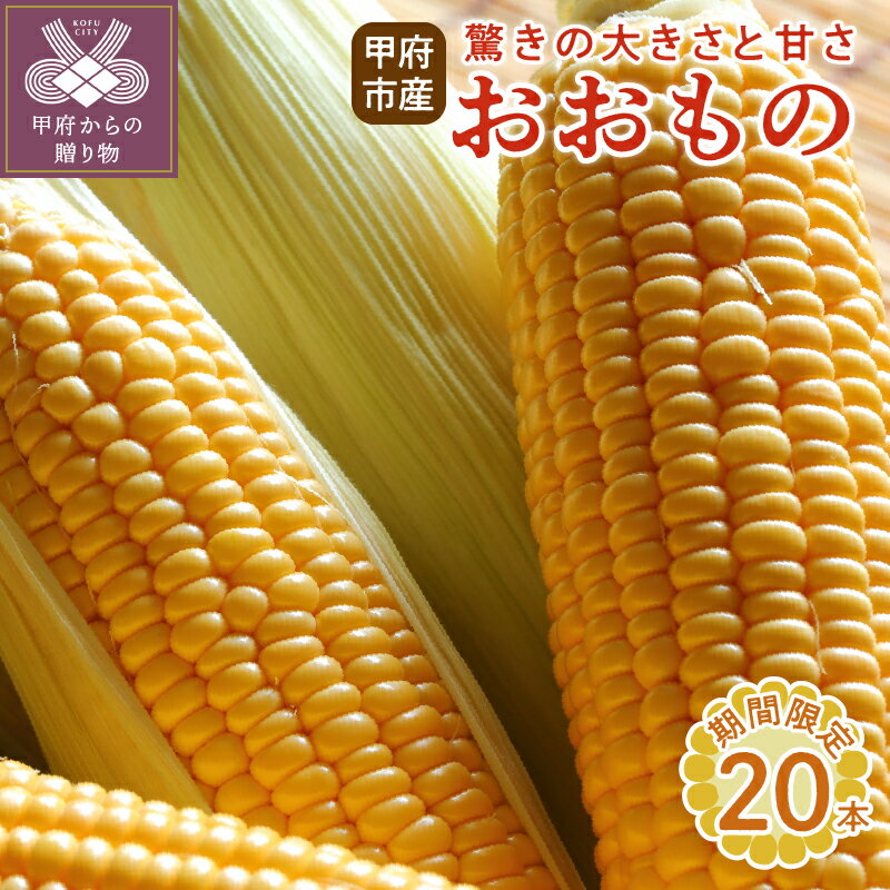 【ふるさと納税】 とうもろこし おおもの 野菜 完熟 新鮮 20本 k219-022のサムネイル