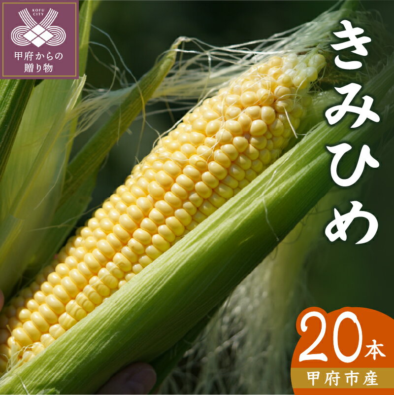 【ふるさと納税】 とうもろこし きみひめ 甲府市産 希少品種 野菜 20本 6kg k219-053のサムネイル