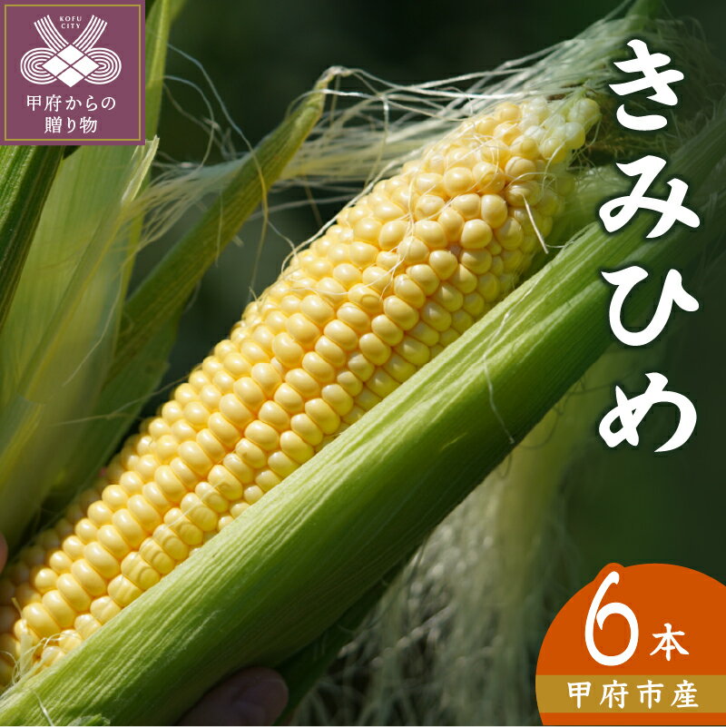 とうもろこし きみひめ 甲府市産 希少品種 野菜 6本 2kg k219-054