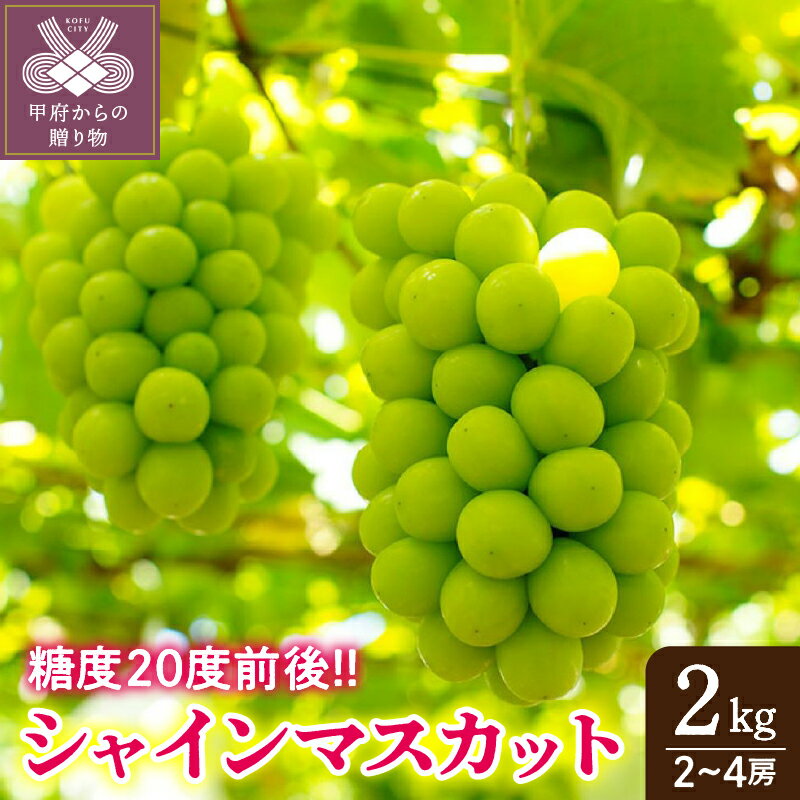 【ふるさと納税】 シャインマスカット ぶどう 山梨県産 2房～4房 2kg フルーツ ブドウ 高級 完熟 産地直送 k213-005