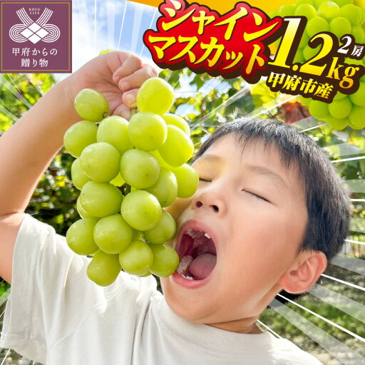【ふるさと納税】 シャインマスカット 先行予約 2025年 山梨 県産 ぶどう 甲府 市産 2房 約1.2kg フルーツ 糖度20度前後 高級 完熟 産地直送 人気急上昇中 高評価 フルーツ王国山梨 贈答 ギフト 2025年8月中旬~9月下旬にかけて順次配送 k213-013 【ふるさと納税】 シャインマスカット 先行予約 2025年 山梨 県産 ぶどう 甲府 市産 2房 約1.2kg フルーツ 糖度20度前後 高級 完熟 産地直送 人気急上昇中 高評価 フルーツ王国山梨 贈答 ギフト 2025年8月中旬~9月下旬にかけて順次配送 k213-013