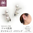【ふるさと納税】< 甲府ジュエリー > イヤリング ジュエリー レディース アクセサリー ダイヤモンド 真珠 アコヤ真珠 天然ダイヤモンド 0.04ct K18...