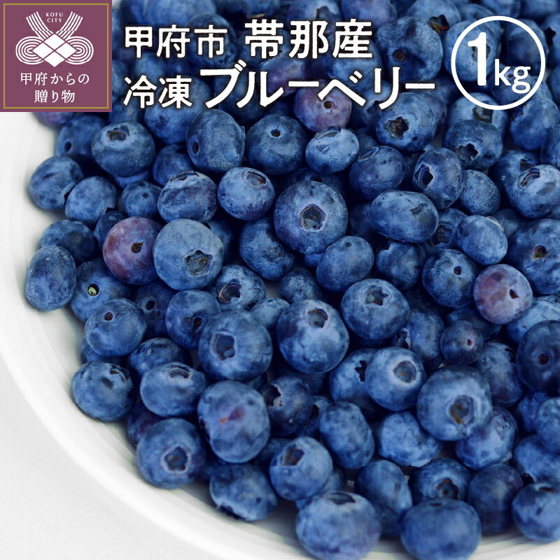【ふるさと納税】 ブルーベリー 冷凍 1kg 1パック 甲府市 帯那産 完熟 期間限定 数量限定 k218-001のサムネイル