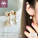 【ふるさと納税】< 甲府ジュエリー > ピアス ジュエリー レディース アクセサリー パール 淡水真珠 オーバル型 K10 イエローゴールド 立体的 ギフト プレゼント ジュエリーケース付 保証書付 k247-014(4)