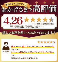 【ふるさと納税】 トイレットペーパー ダブル 【発送月が選べる】 【内容量が選べる】 48ロール 96ロール 大容量 無地 1ロール×30m 12ロール1セット 甲府市 ミックスペーパー使用 新生活 無香料 個包装なし 日用消耗品 生活必需品 トイレ用品 再生紙 防災 備蓄 k194-011･･･ 画像1