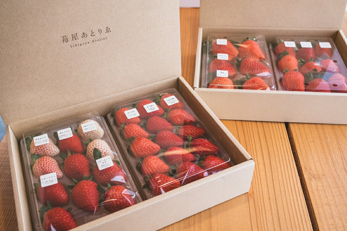 【ふるさと納税】 いちご 先行予約 食べ比べ セット ギフト 贈答 プレゼント 採れたて フルーツ 14品種 約240g×4パック 冷蔵 フルーツ王国山梨 甲府市産 k222-004