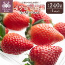 【ふるさと納税】 いちご 先行予約 食べ比べ 2026年 25/26年 セット ギフト 贈答 プレゼント 採れたて フルーツ 3品種 約240g×1パック 冷蔵 フルーツ王国山梨 甲府市産 k222-002
