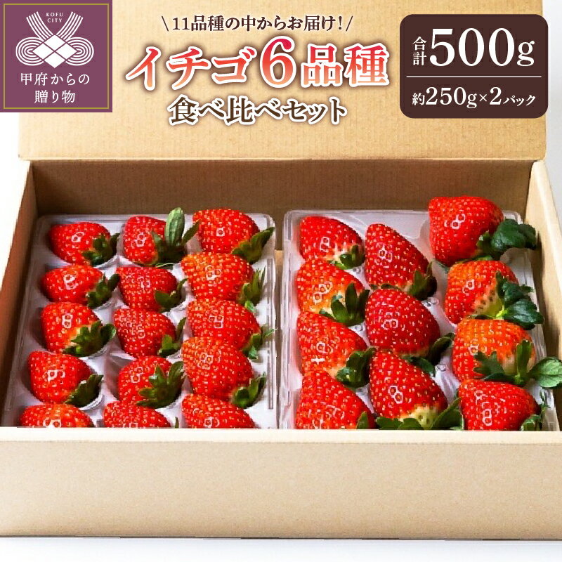 【ふるさと納税】 いちご 食べ比べ セット 採れたて フルーツ 6品種 約250g×2パック 冷蔵 山梨 甲府市産 k222-003